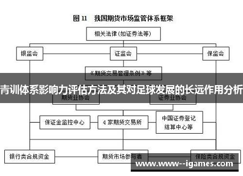 青训体系影响力评估方法及其对足球发展的长远作用分析